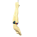Male Diver Ornament