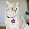 Epilepsy Awareness Pet Tag - Butterfly Design