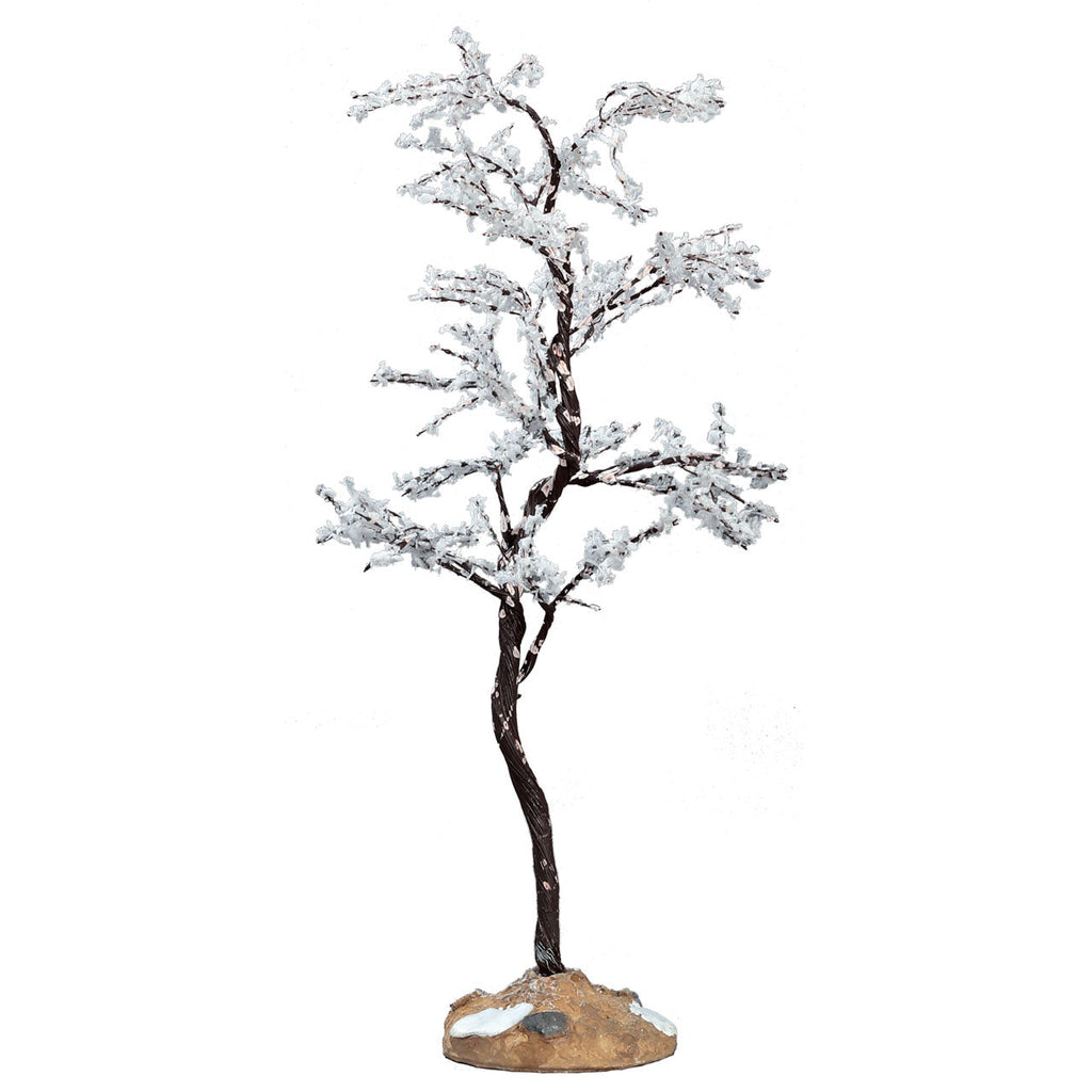 Morning Dew Tree - Medium