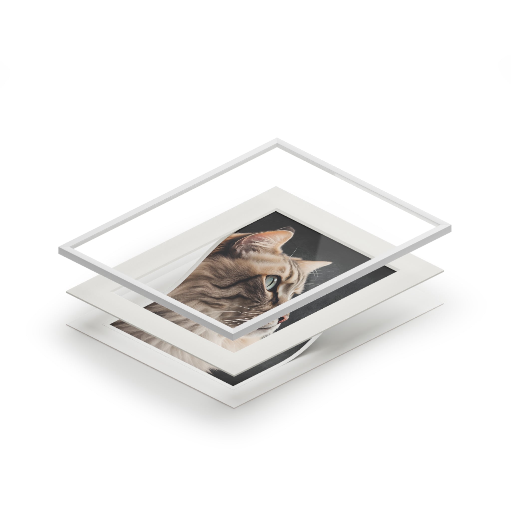 Gray Kitty Fine Art Print with Passepartout Frame