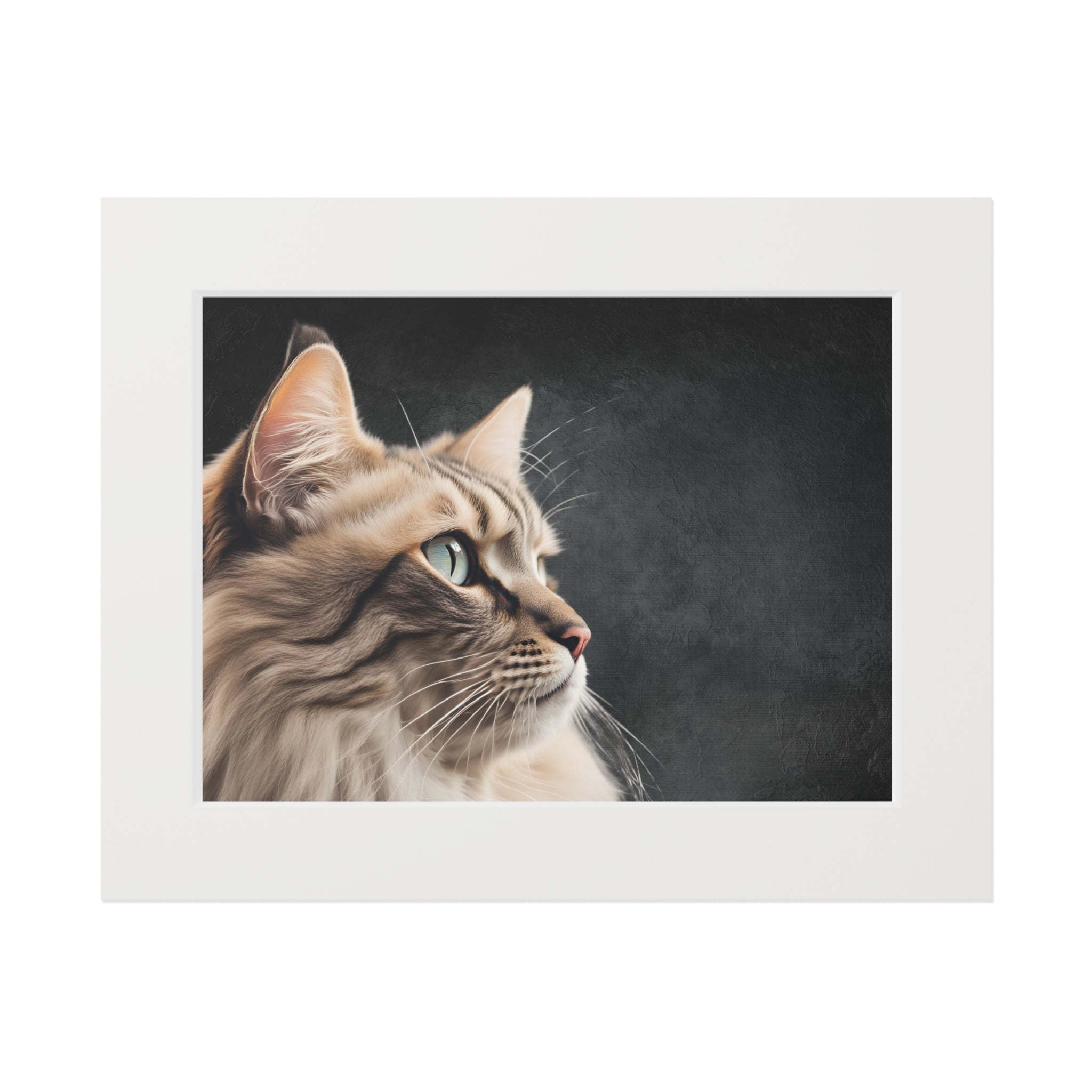 Gray Kitty Fine Art Print with Passepartout Frame