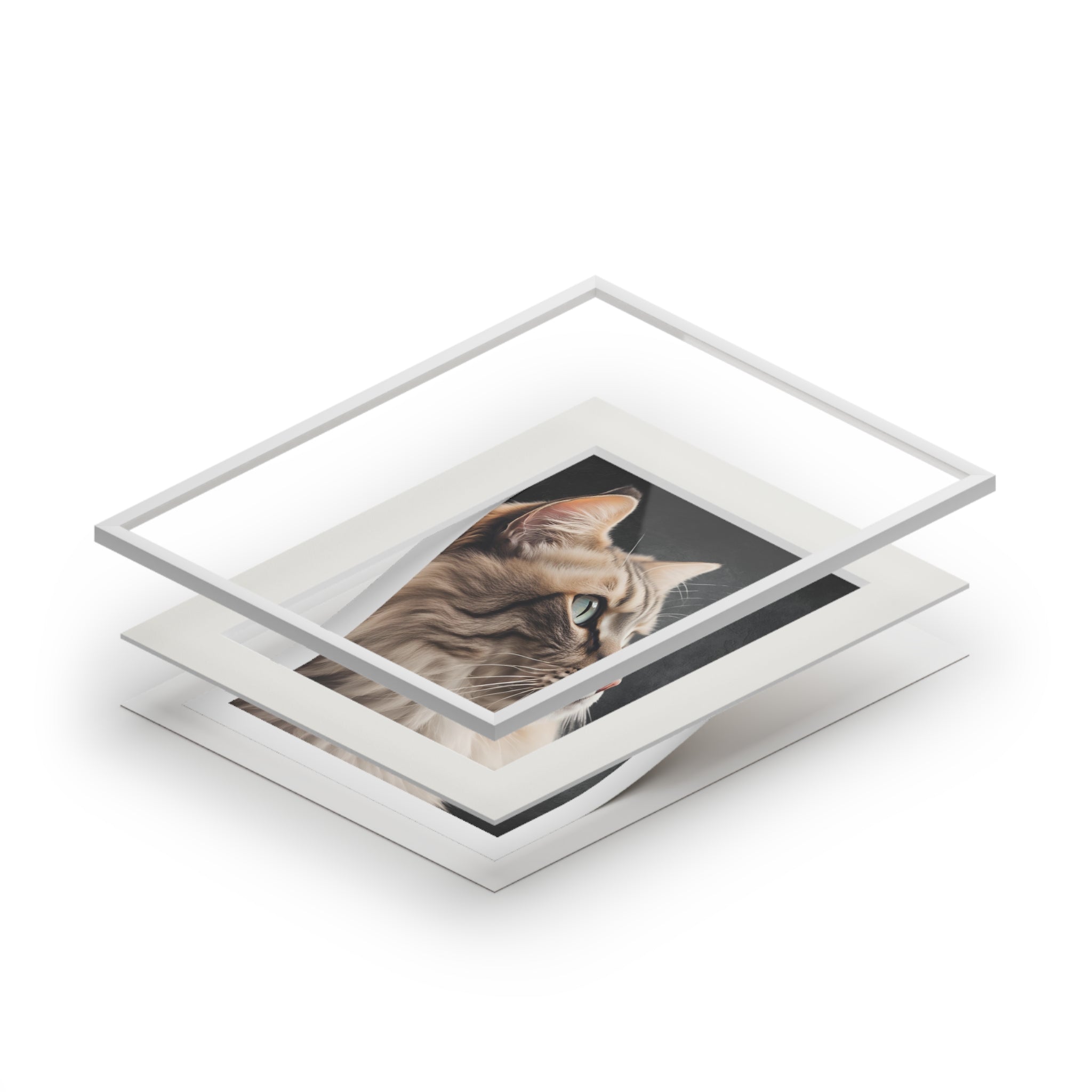 Gray Kitty Fine Art Print with Passepartout Frame