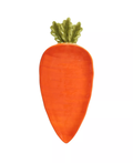 3D Carrot Candy Plate