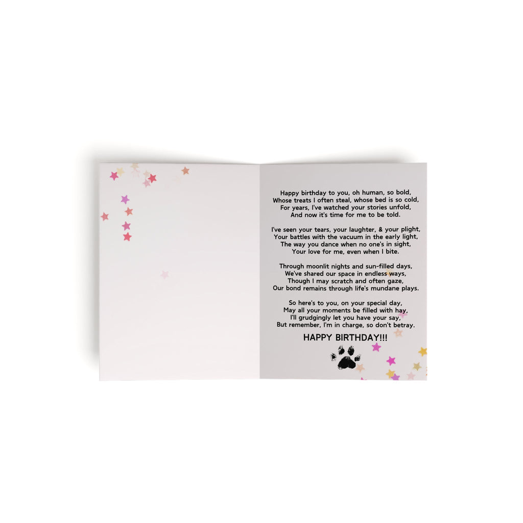Happy Birthday from the Cat Greeting Cards, blank inside