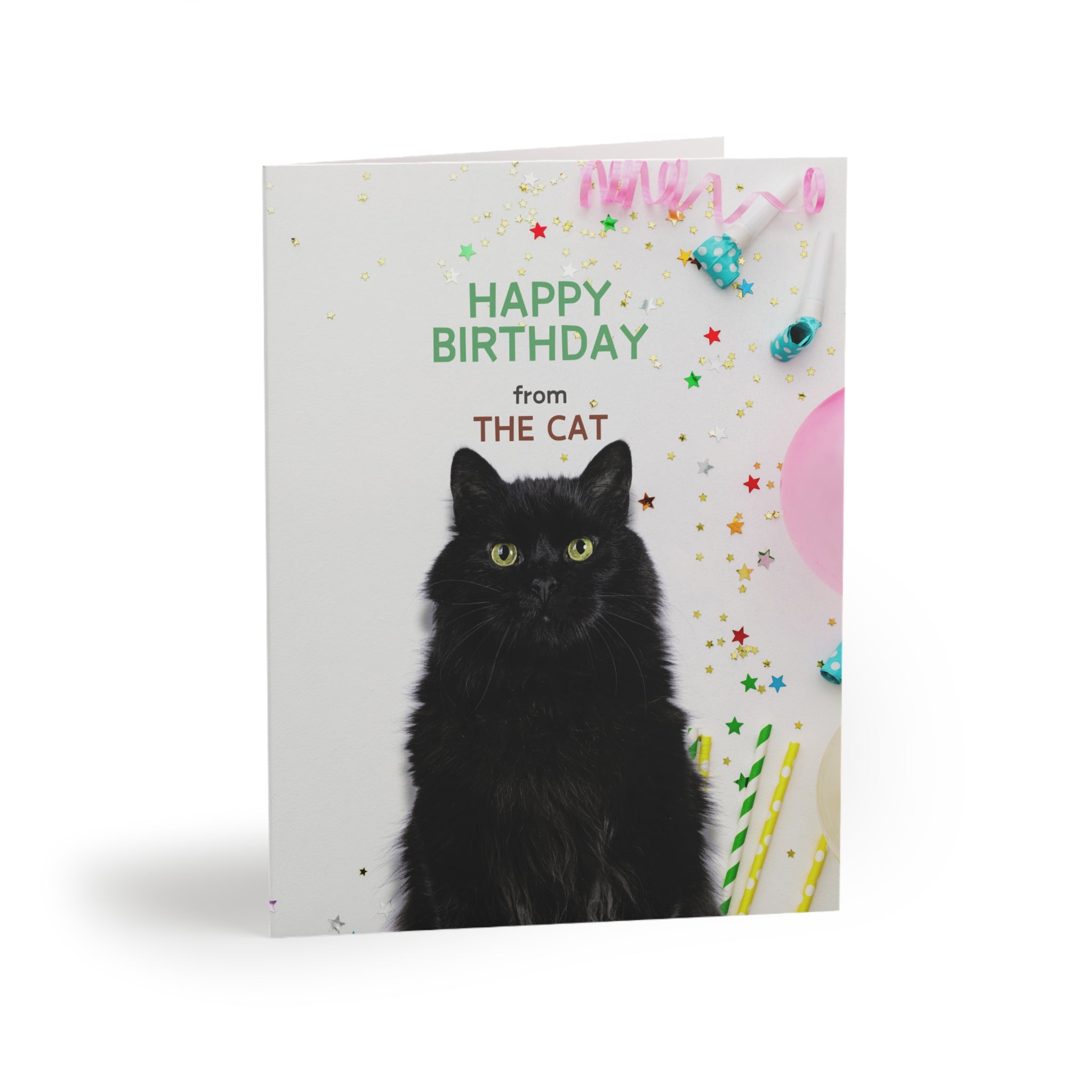 Happy Birthday from the Cat Greeting Cards, blank inside