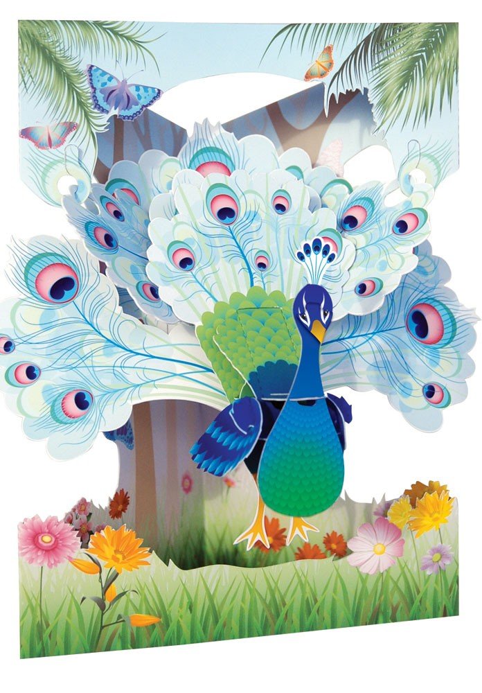 Peacock - Swing Card