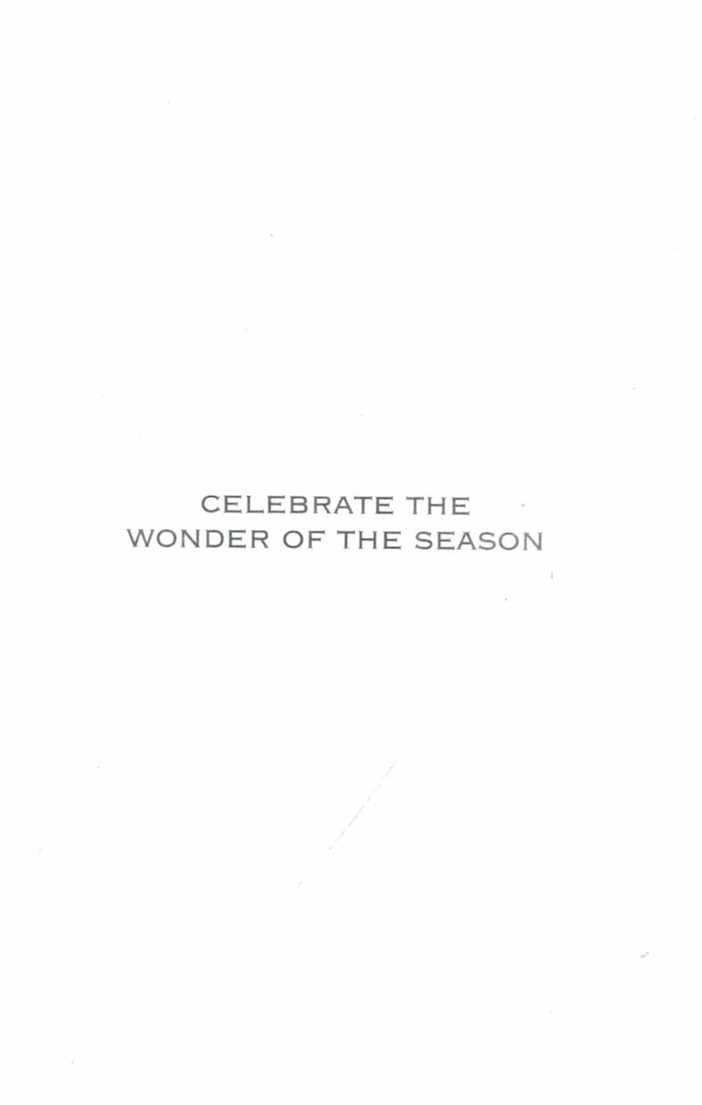 Elegant Boxed Cards - Holiday Trees