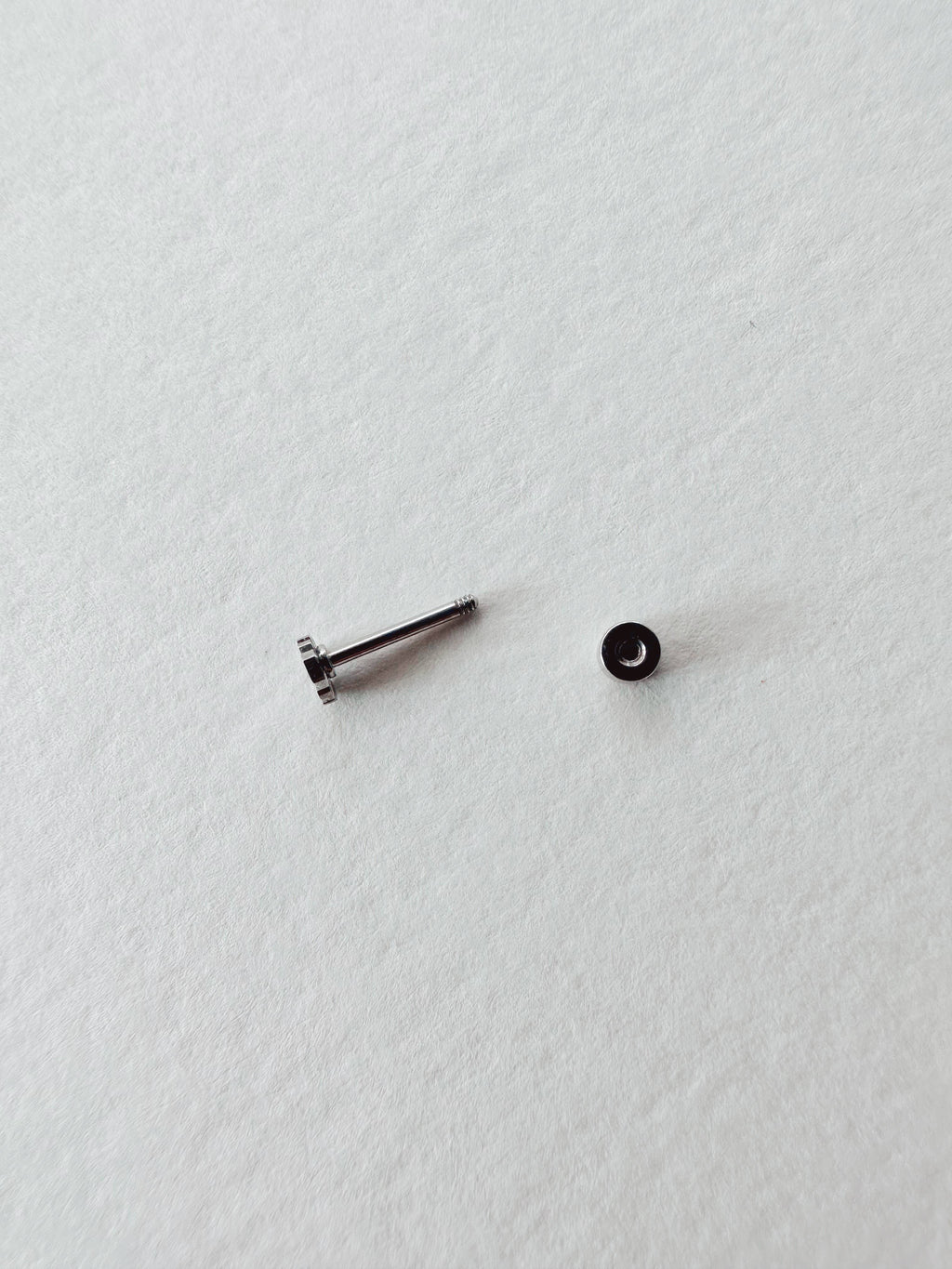 Flat Back Teeny Tiny Monstera Deliciosa Plant Studs