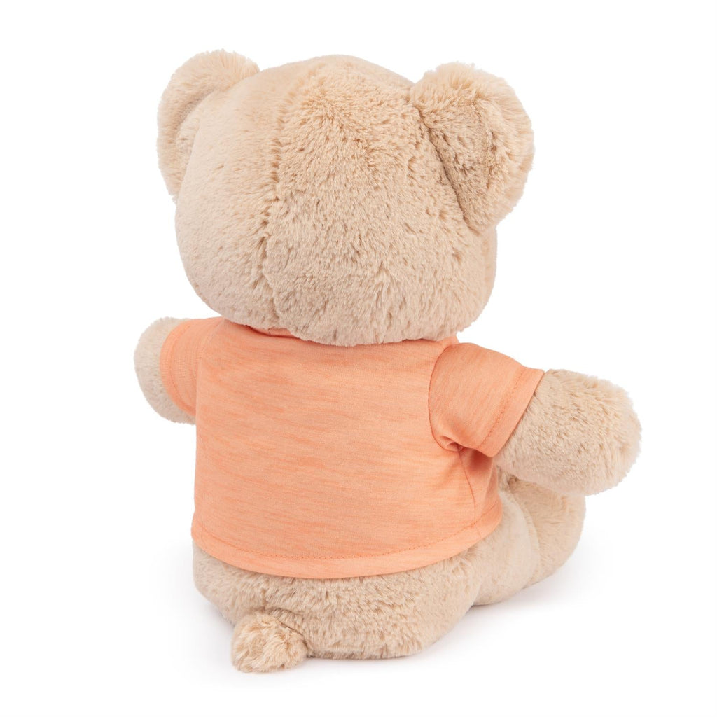 You Are my Sunshine Message Bear