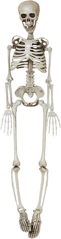 Hanging Plastic Skeleton - 3 Feet Tall