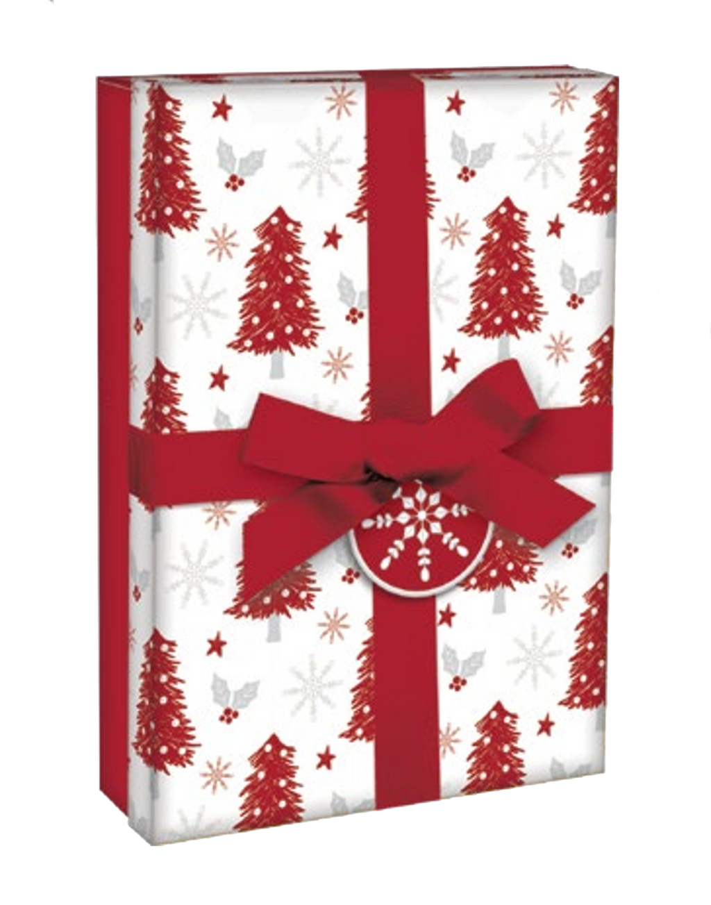 Rectangular Giftbox with Ribbon -