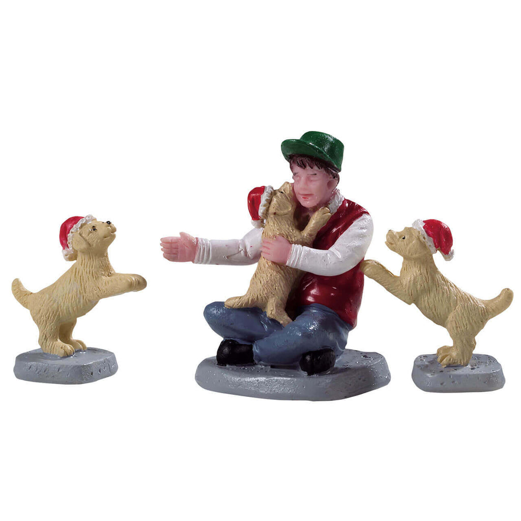 New Puppies - 3 piece Set