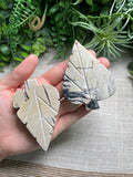 Picture Jasper Leaf