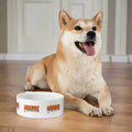 Playful Pet Bowl - "Orange is Not My Color!"