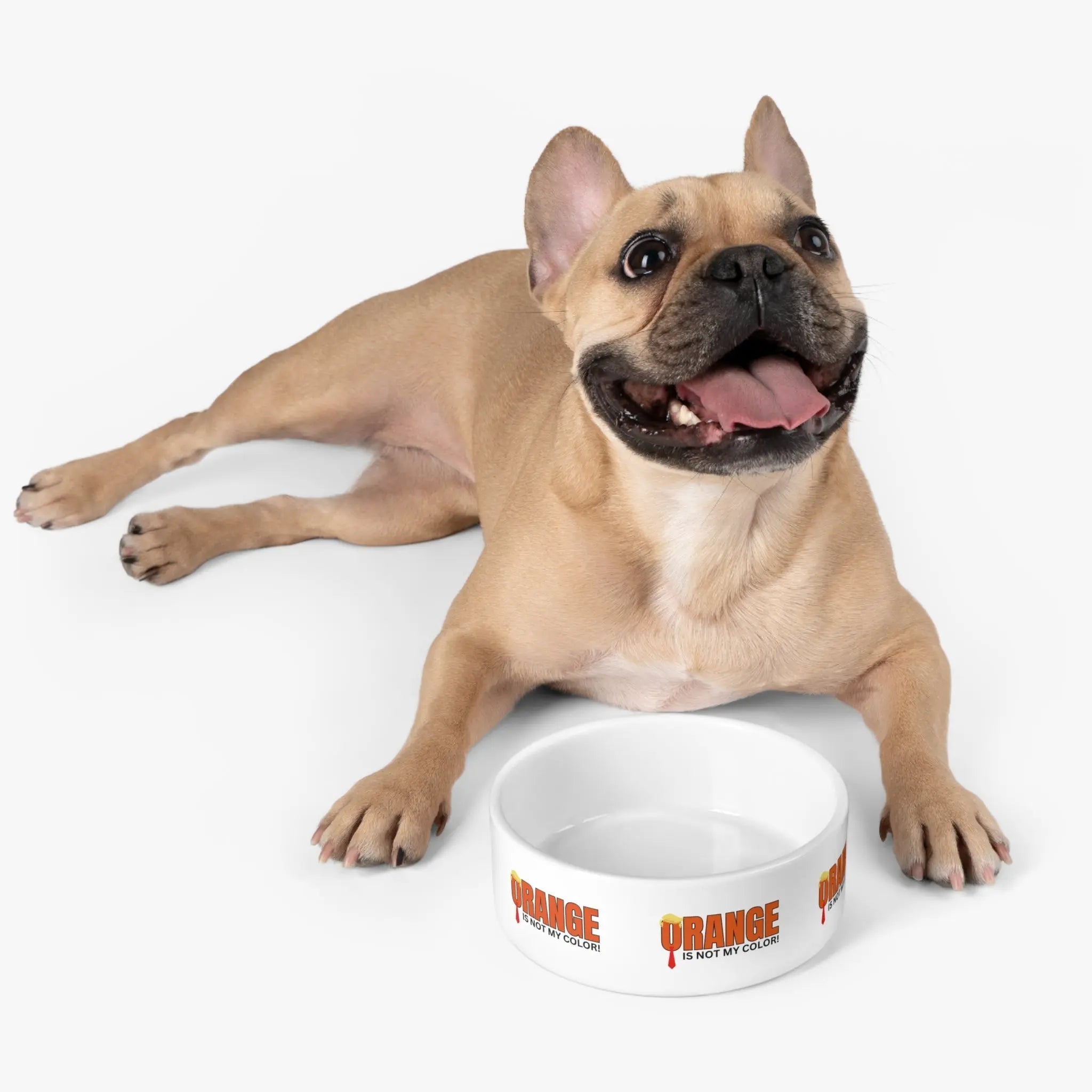 Playful Pet Bowl - "Orange is Not My Color!"