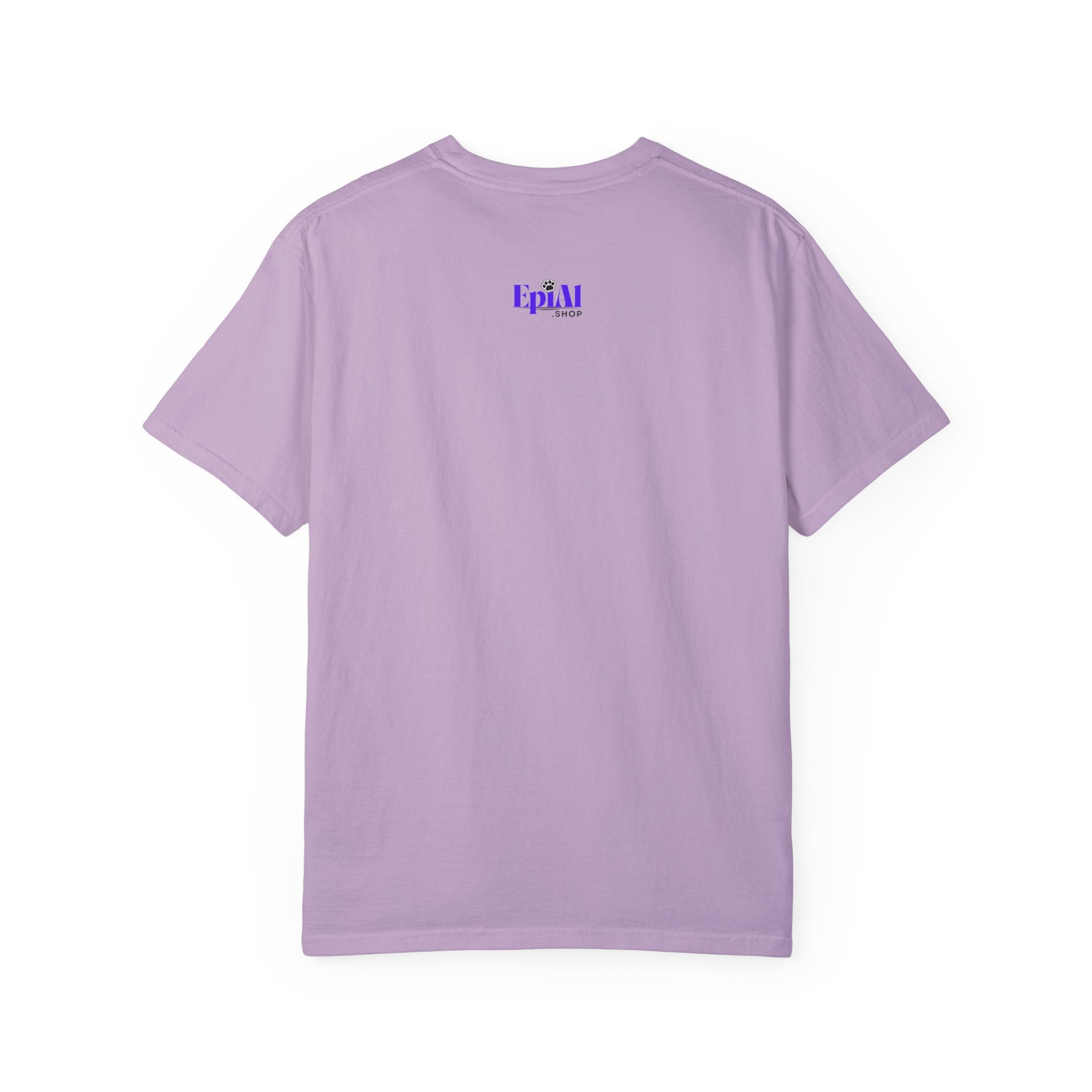Pre-Ictal Phase Definition Unisex Garment-Dyed T-shirt