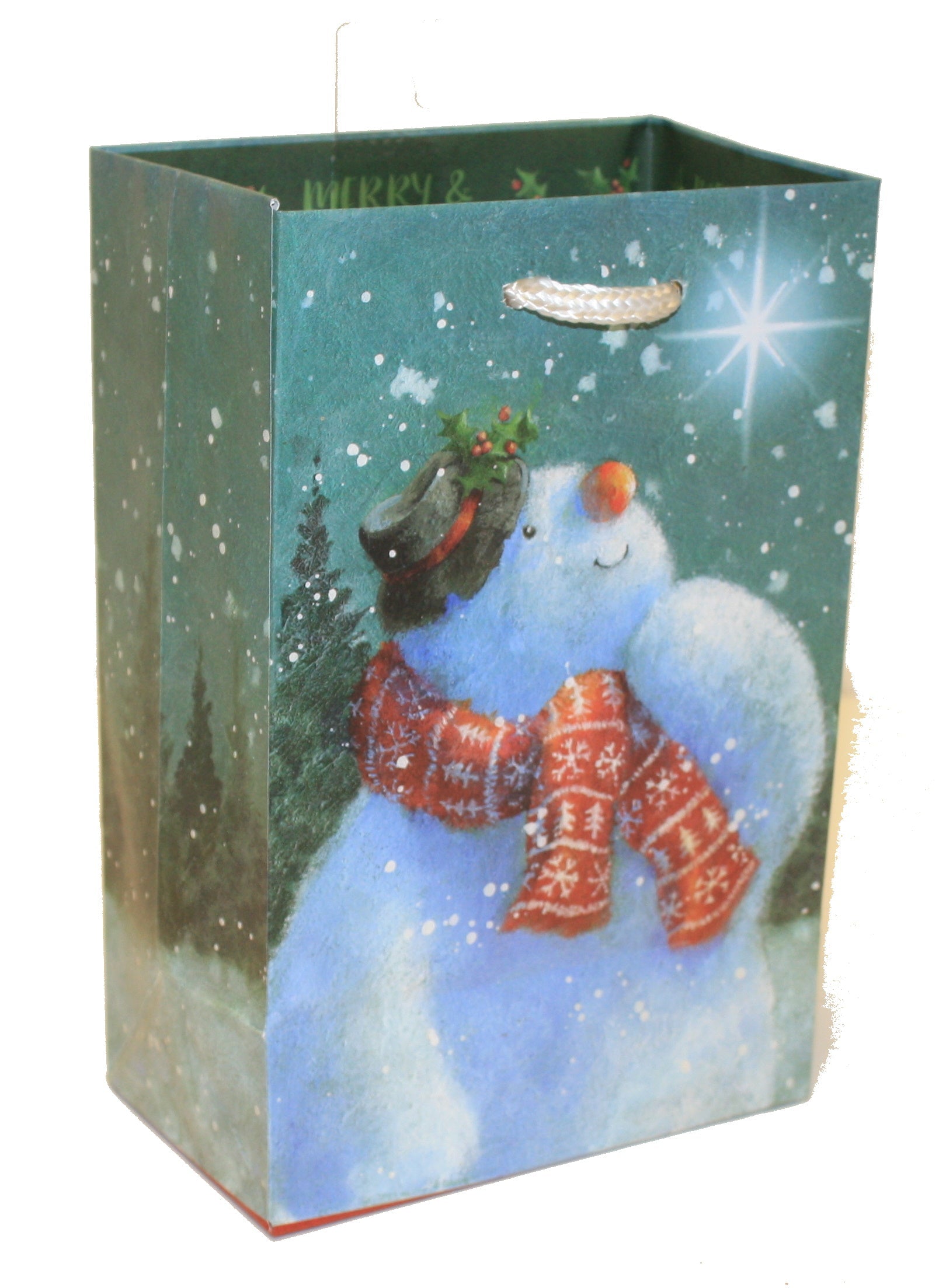 Cub Country Gift Bag - Stanley