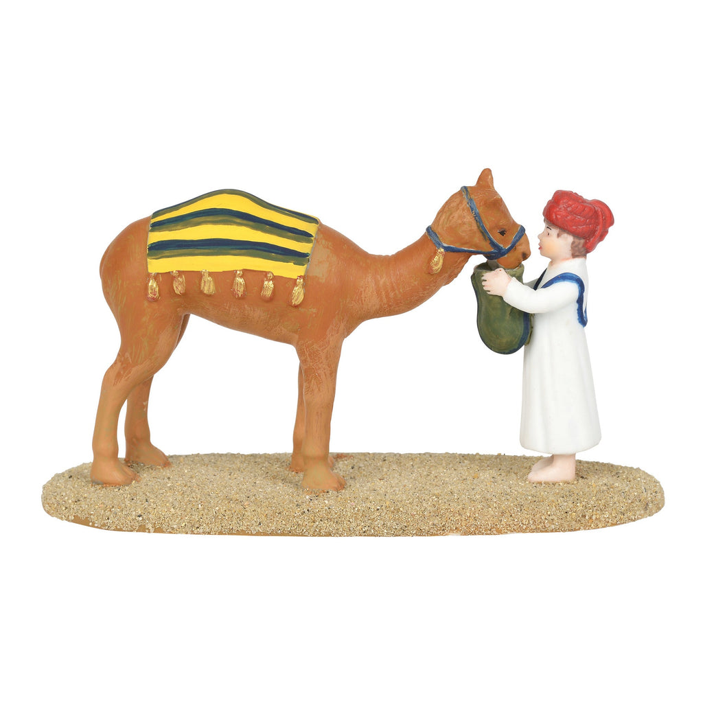 Holy Land Little Town Of Bethlehem - Tending The Camel