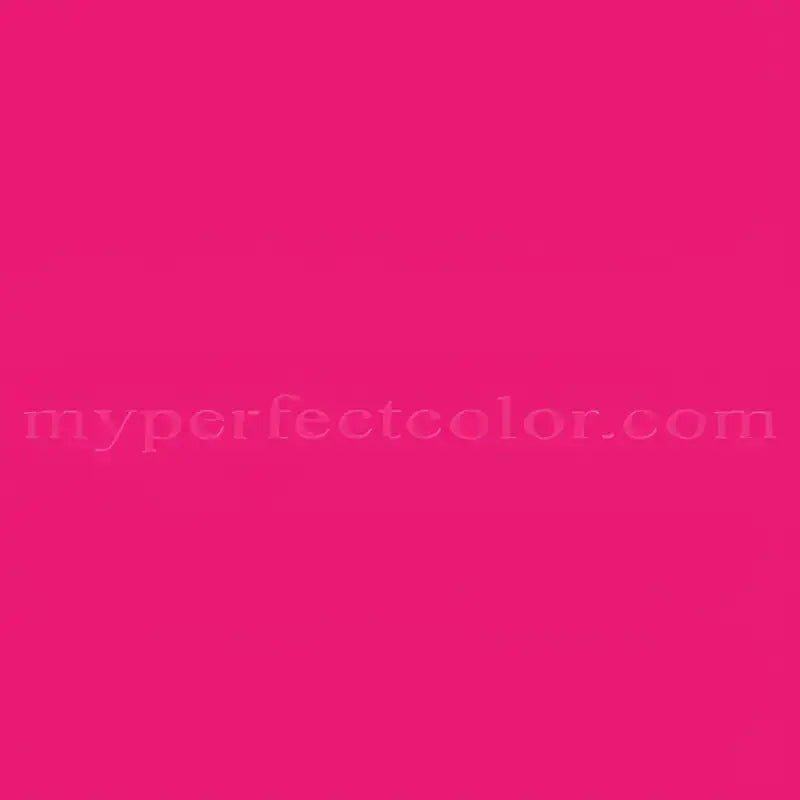 Ocean State Styles T Shirt Dont Stop Retrieving Dog Lovers