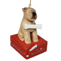 Soft Coated Wheaten Terrier with Bone Ornament