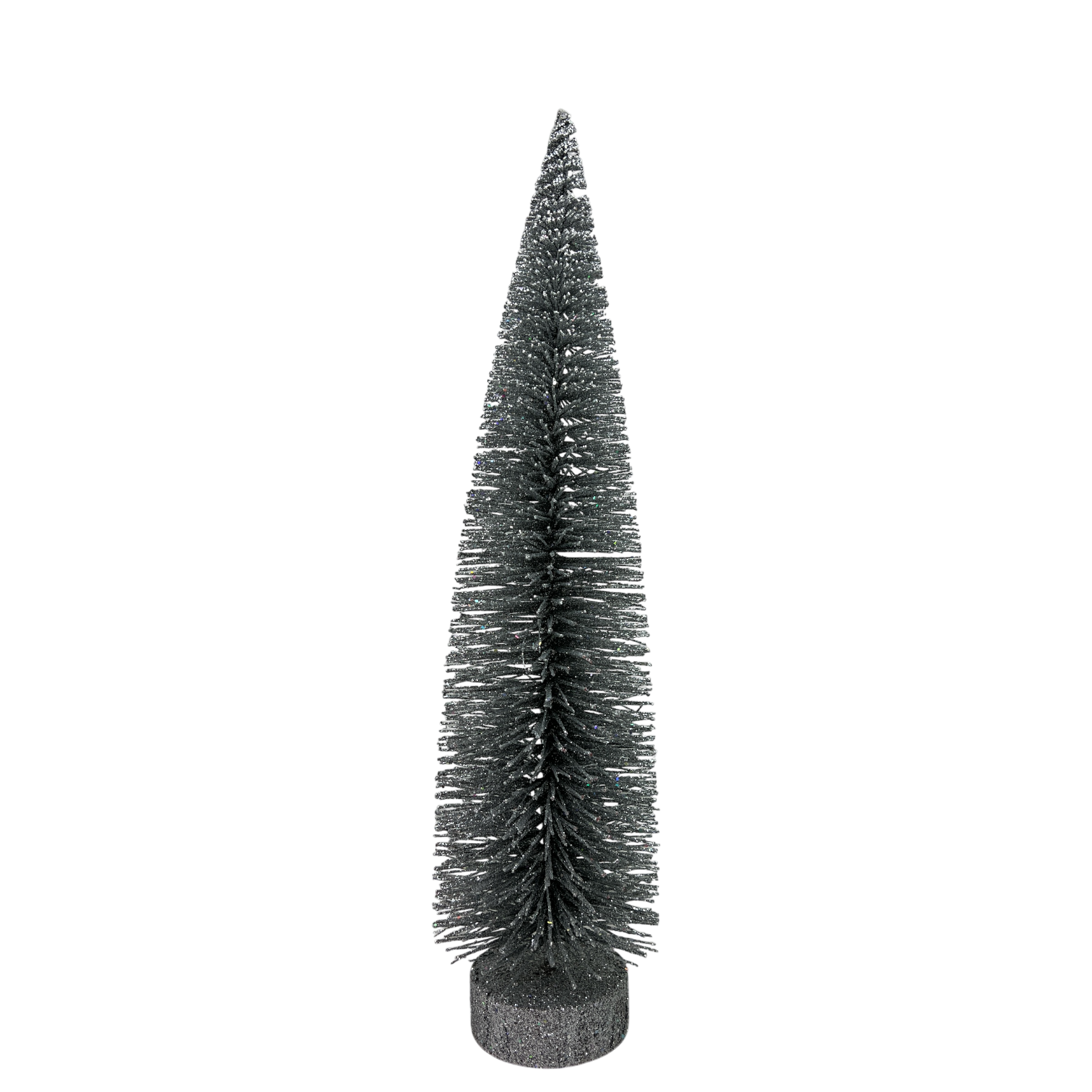 Silver Bottle Brush Tree
