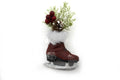 6 Inch Skate with Floral Accent -  Pinecone