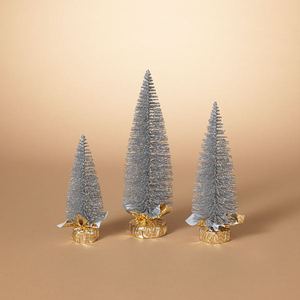 Silver Bottle Bursh Tree -