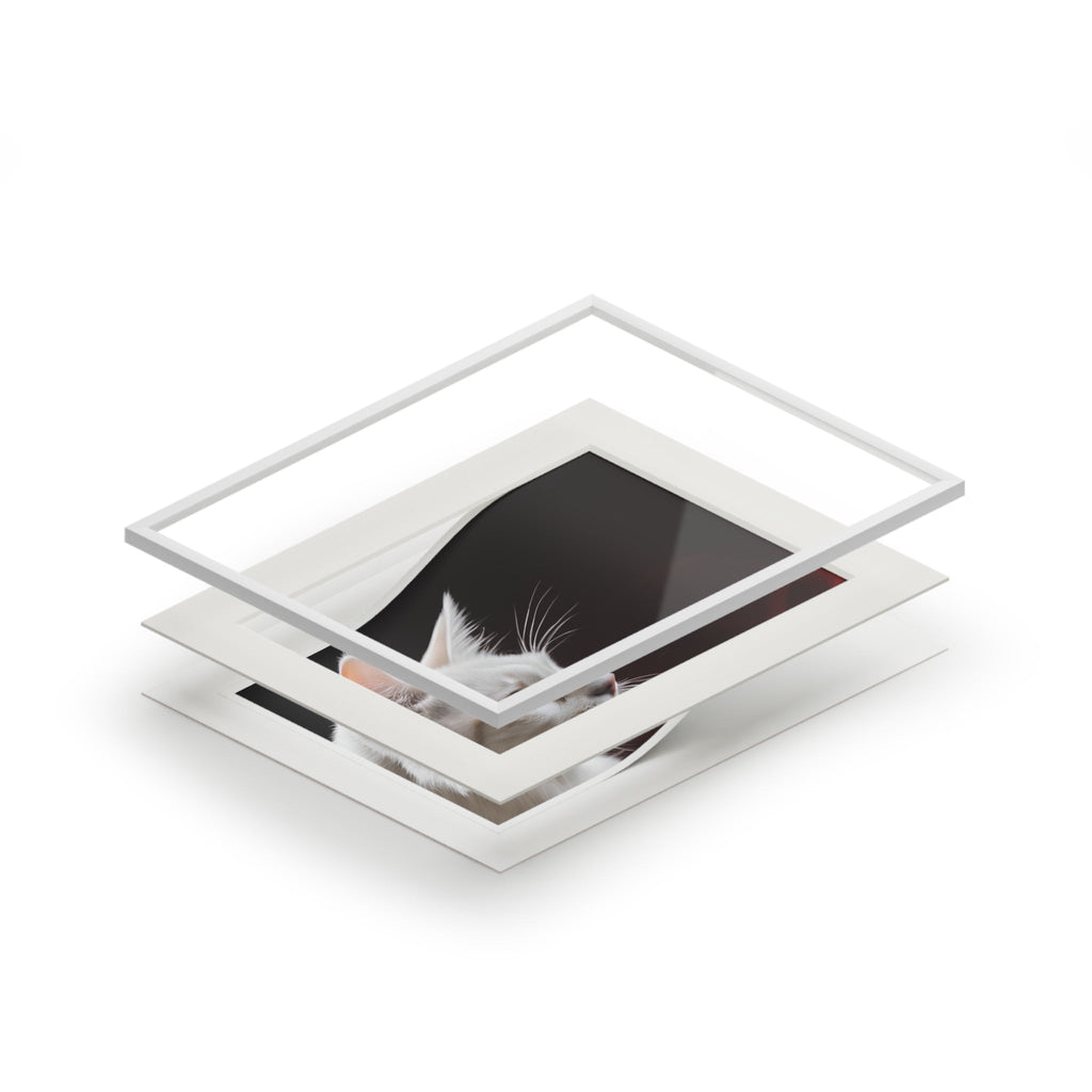 Wonderful White Cat Fine Art Print with Passepartout Frame