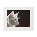 Wonderful White Cat Fine Art Print with Passepartout Frame