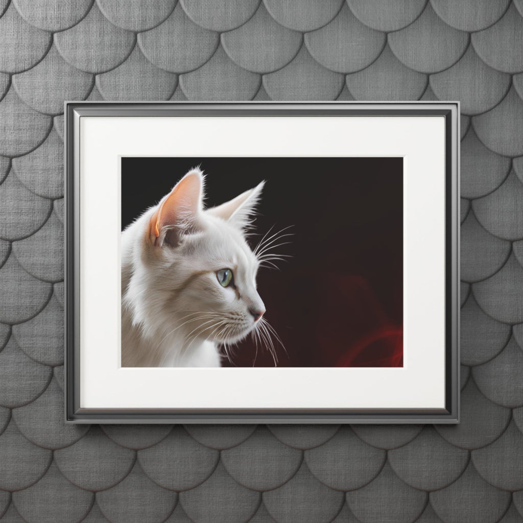 Wonderful White Cat Fine Art Print with Passepartout Frame