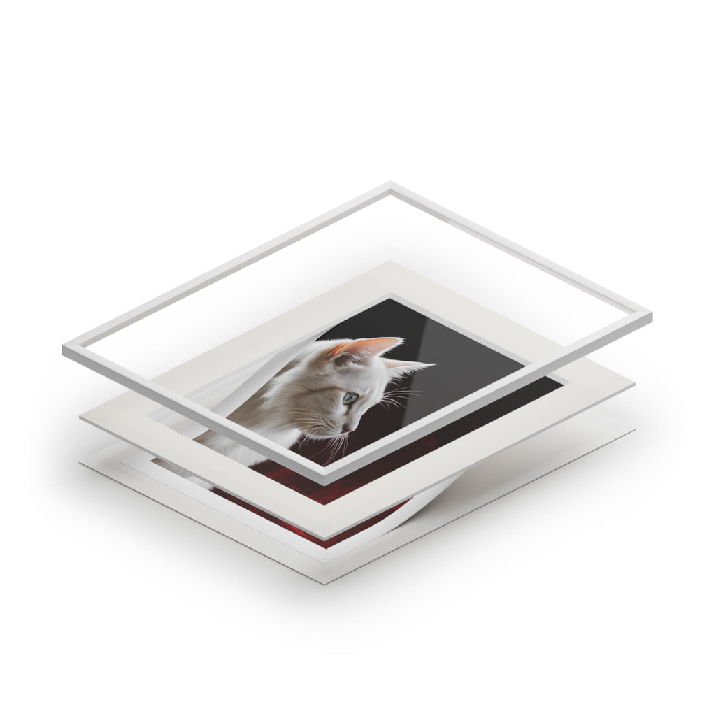 Wonderful White Cat Fine Art Print with Passepartout Frame
