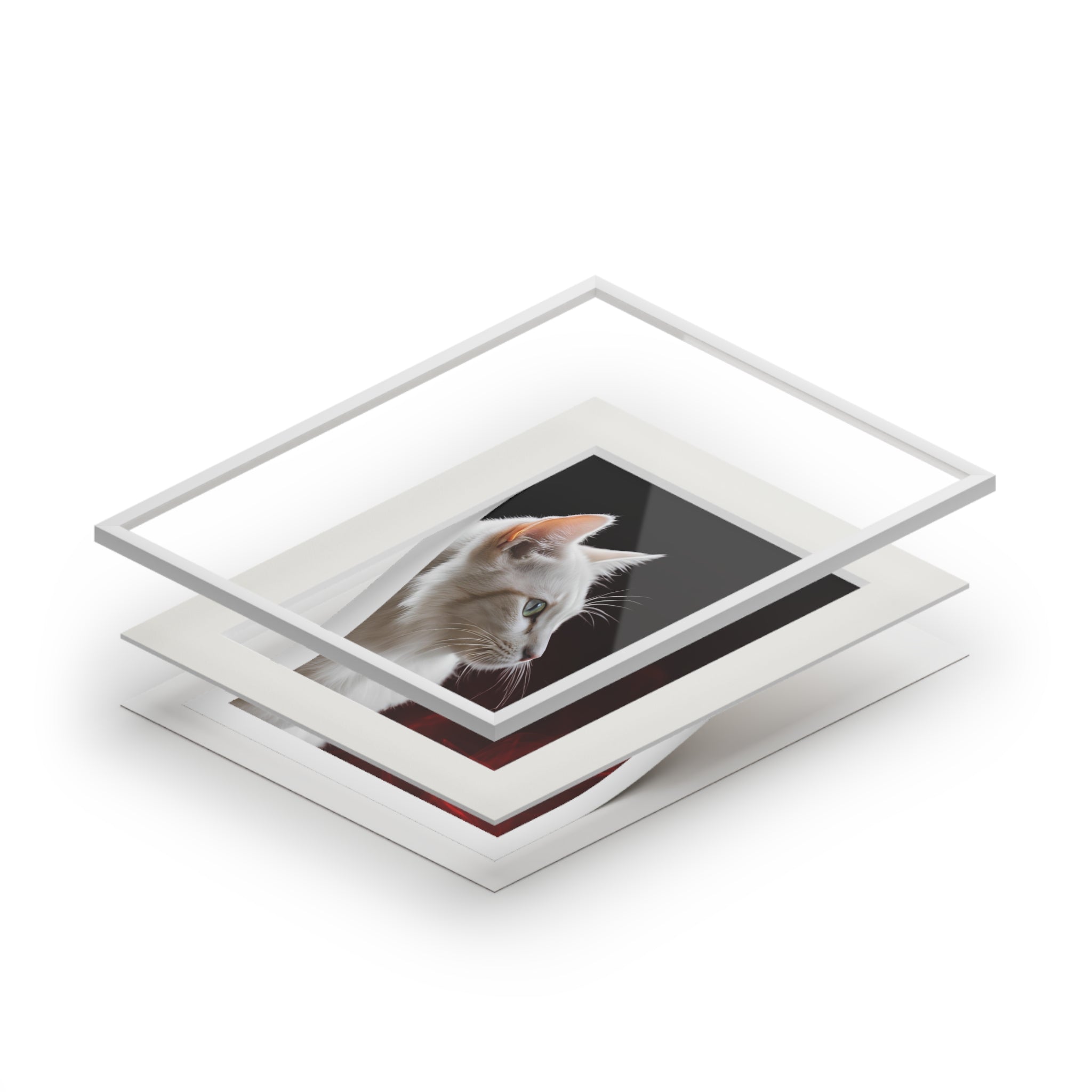 Wonderful White Cat Fine Art Print with Passepartout Frame