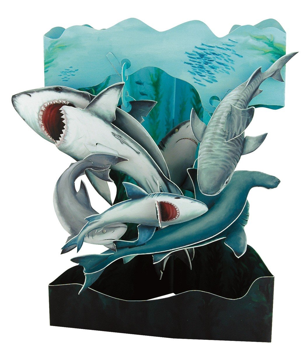 Shark - Swing Card
